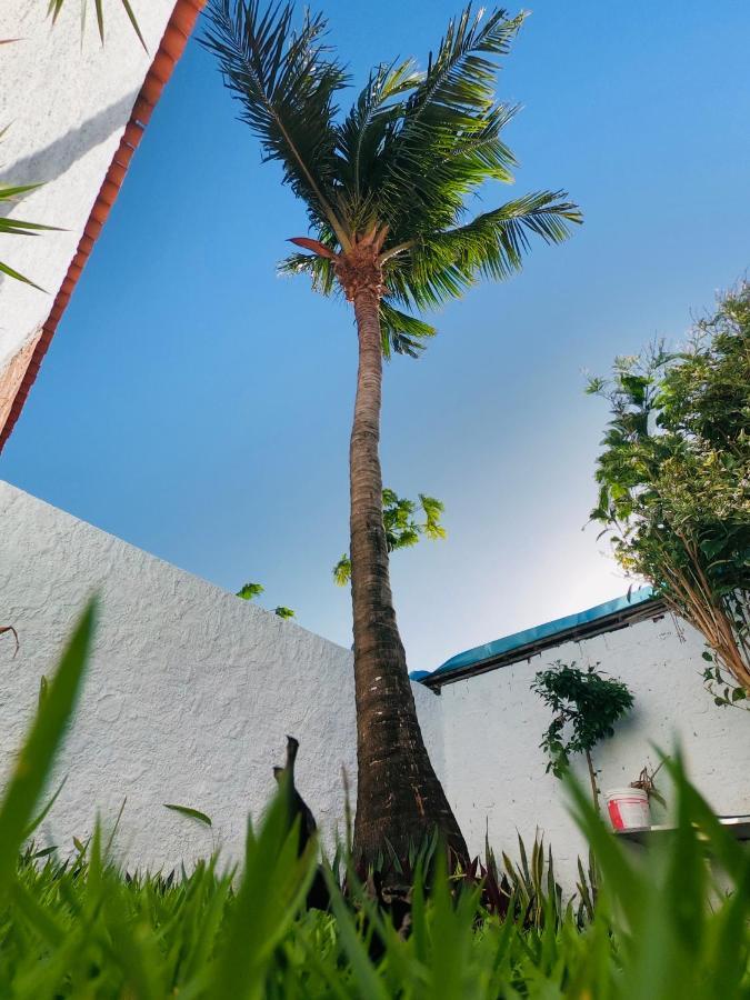 Guest house Recanto Do Mar *